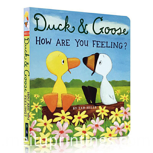 Quality Kids Hardcover Story Book Printing Services for Sale